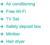 1 Air conditioning 1 Free Wi-Fi 1 TV Sat 1 Safety deposit box 1 Minibar 1 Hair dryer